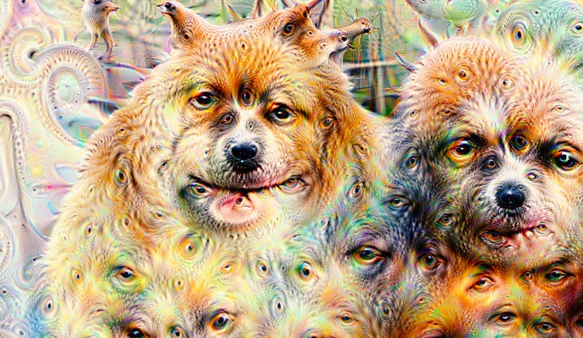 Seeing as a Computer with Google Deep Dream | Minitex