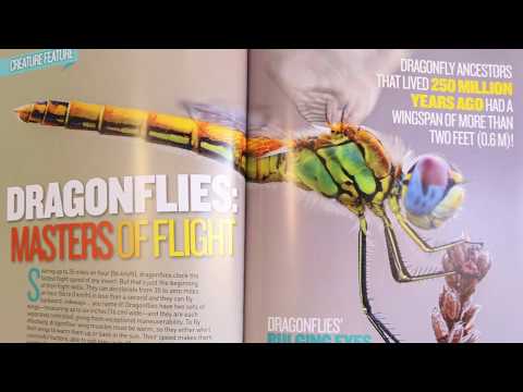 Video screenshot: Read This Book! — Summer reading tips for kids part 1