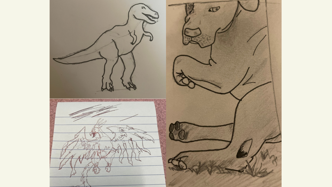 Photos of Drawings of a T-Rex, Phoenix, and dog