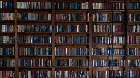 Wall of bookshelves in a library