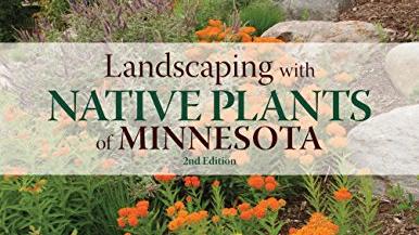 Landscaping with native plants of Minnesota showing native flowers and shrubs nestled around rocks