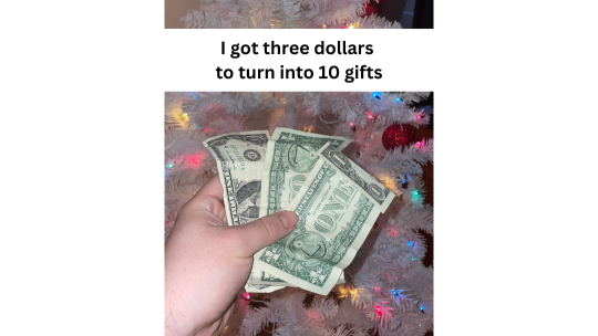 a photo of three dollars with a Christmas tree in the background.