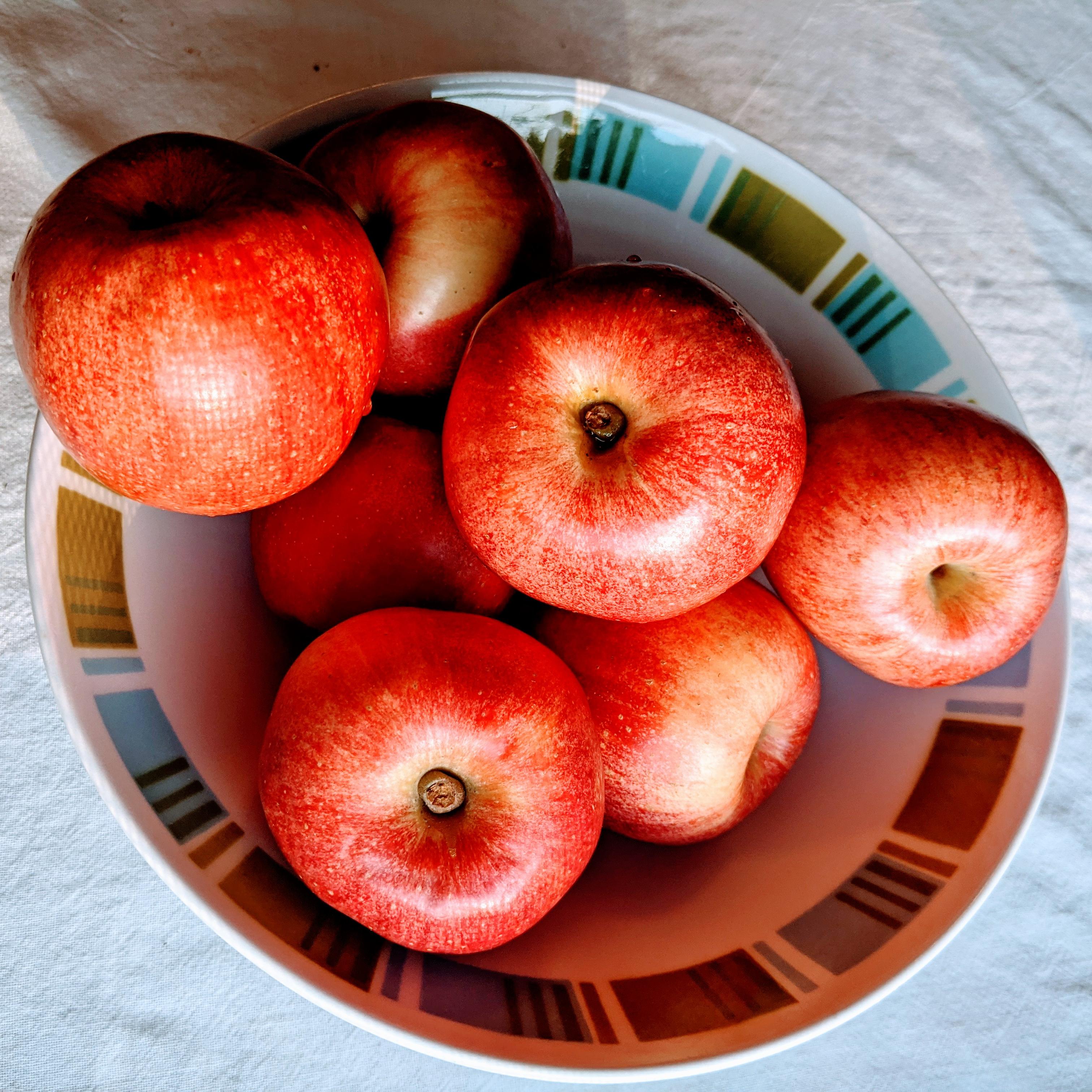 A photograph of red apples sitting in a bowl in the sun.