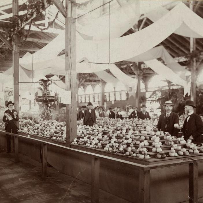 Neatly piled pyramids of apples in a large room with lots of light being looked at by white men in dark suits.