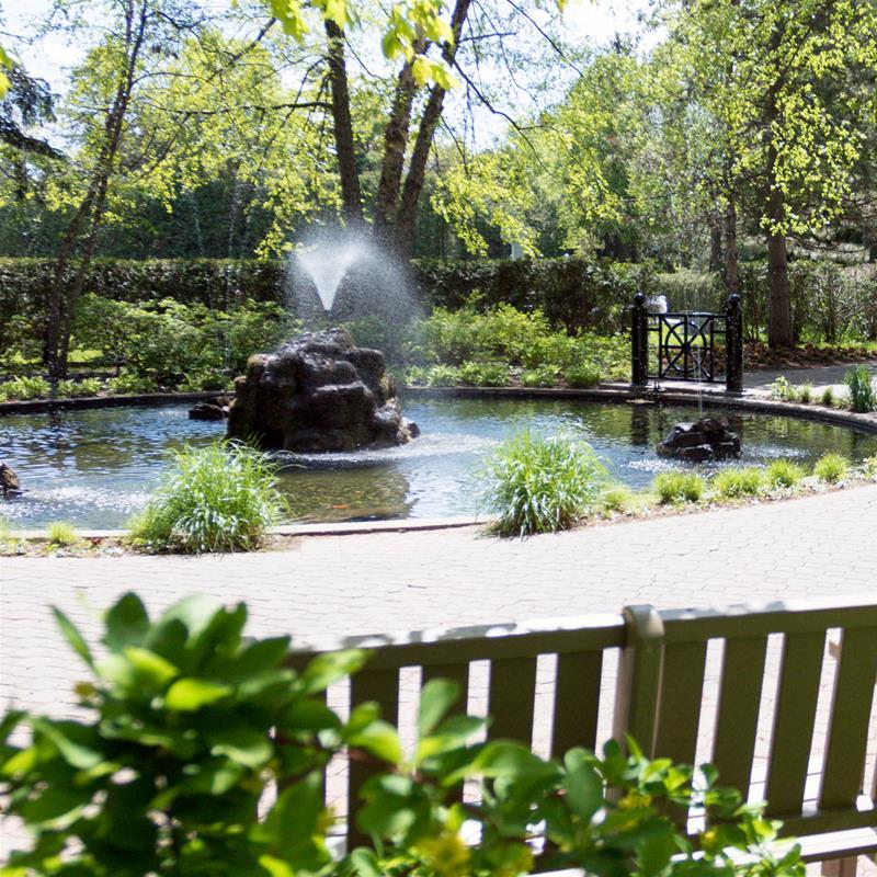 A photograph of a fountain in summer surrounded by trees and benches.