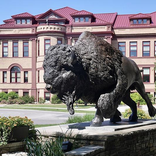 A bronze sculpture of a bison on the NDSU campus.