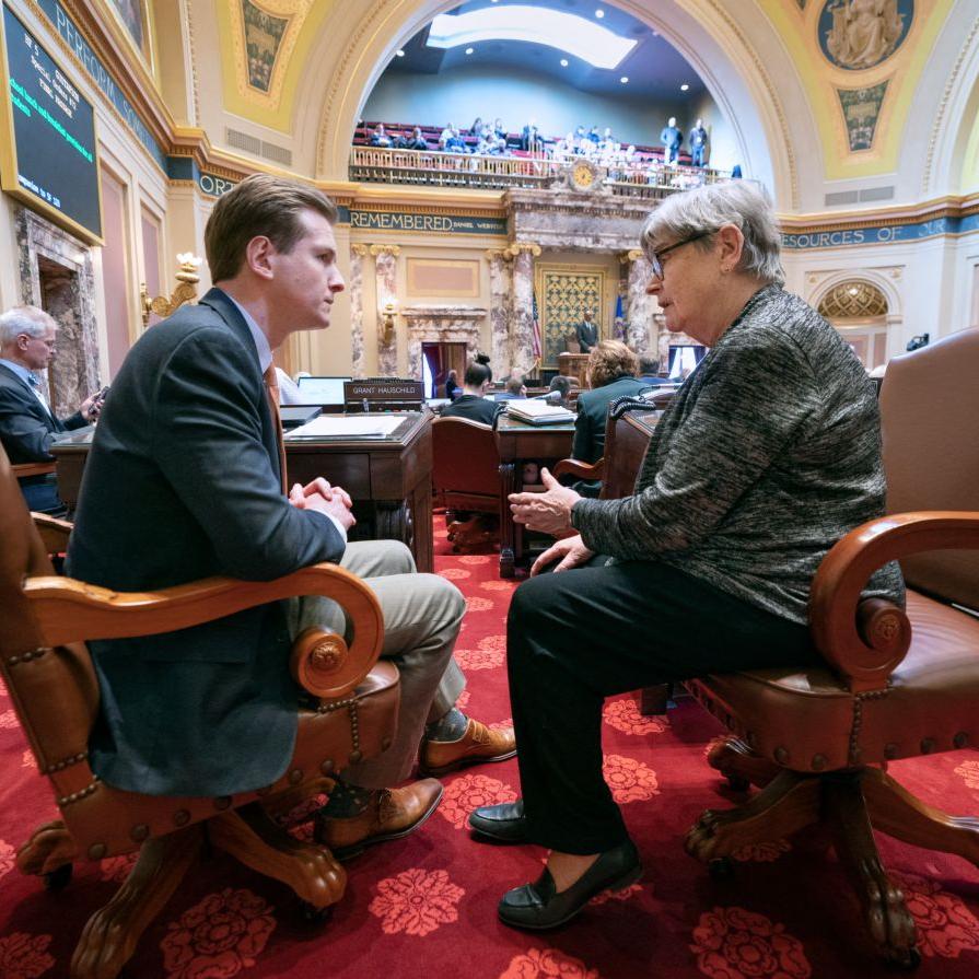 Grant Hauschild and Ann Rest on the Minnesota Senate floor